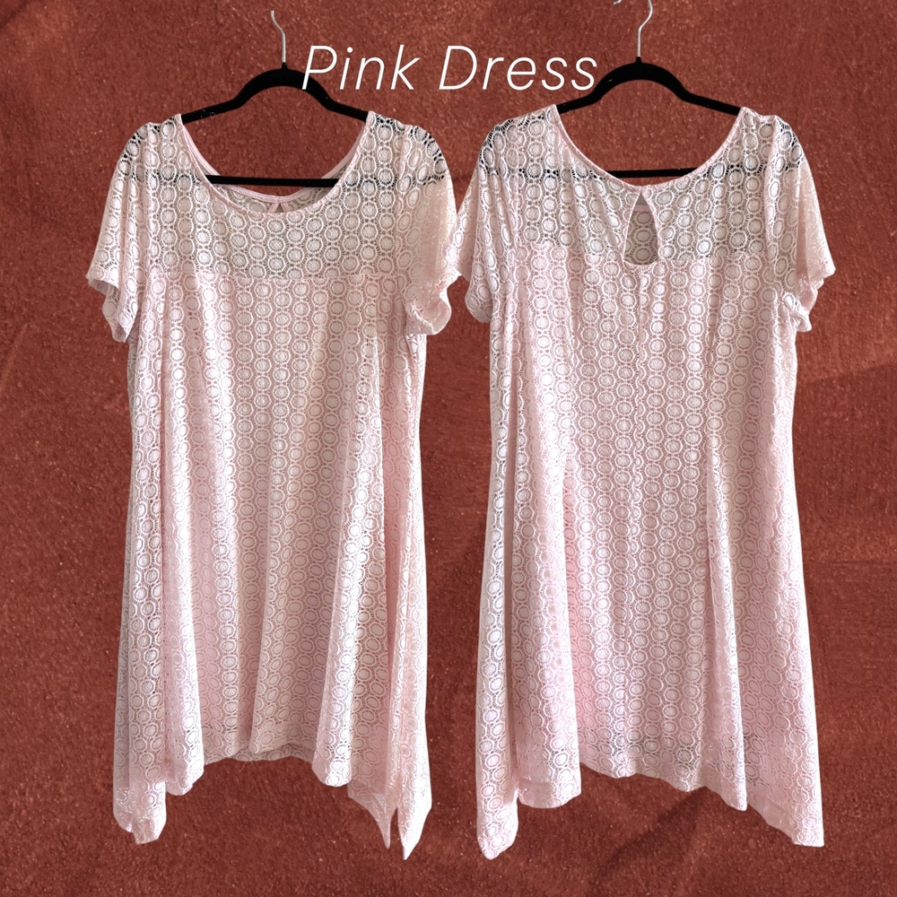 Signature by Robbie Bee Blush Lace Dress